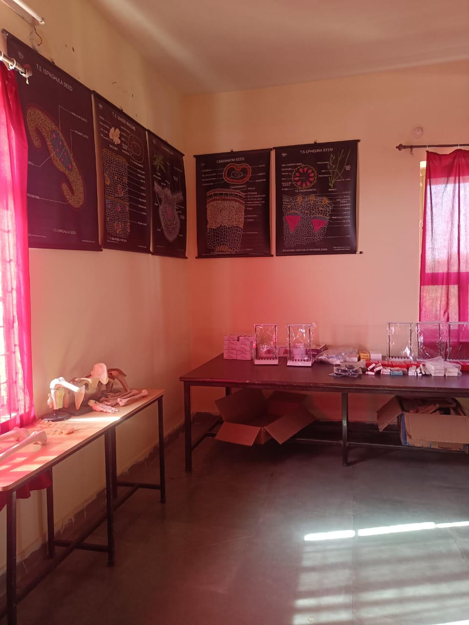 WhatsApp Image 2025-12-28 at 2.10.19 PM